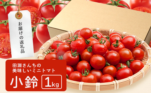 田淵さんちの美味しい ミニトマト 小鈴（約1kg）GP-708｜野菜 トマト ミニトマト 産地直送 新鮮 おいしい お弁当 サラダ 南大隅町 鹿児島県 根占グリーンプラネット