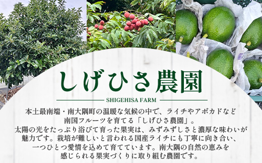 【期間限定・数量限定】 2026年11月より順次発送予定 南大隅町産 生アボカド 約1kg （4品種から2種以上おまかせ）SG-2｜ 産地直送 国産 アボカド 新鮮 森のバター 希少 鹿児島県産 本土最南端 ピンカートン モンロー ジャンボイス エッティンガー しげひさ農園