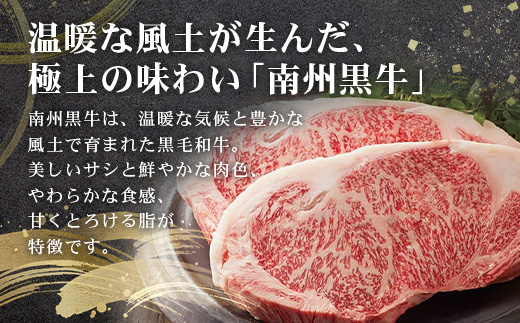 【南州黒牛】霜降りロースステーキ（3127）