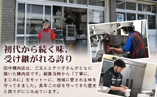 佐多の田中肉屋ニンニクたっぷりやみつき餃子 60個