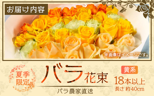 【先行予約・夏季限定 薔薇】ばら農家直送！バラ花束18本以上お届け(黄系)│ローズ 新鮮 花 フラワー 花束 ばら 薔薇 バラ 誕生日 記念日 結婚祝い ギフト プレゼント お祝い 贈り物 贈答 鹿児島県 南大隅町 富田バラ園 TB-3