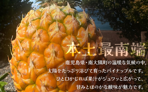 絶品！南大隅町産 【パイナップルバター】約160g× 2瓶 HB-3 ｜パイナップル バター フルーツ ジャム 加工品 スプレッド 国産 南国フルーツ 手作り 鹿児島県  南大隅町 hello! brand new days　