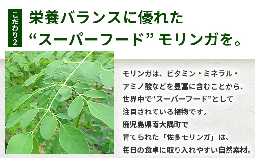 モリンガパウダー50g(25g×2袋)「本土最南端からのおくりもの」