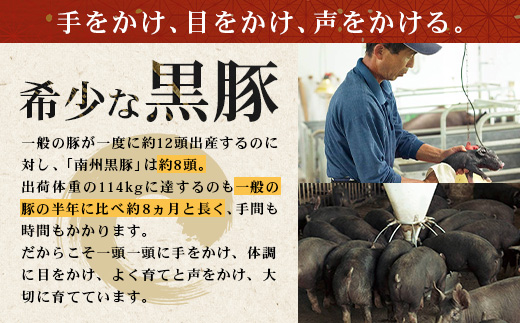 【鹿児島黒豚】ロース味噌漬け＆シャブシャブ詰合せ（3239）