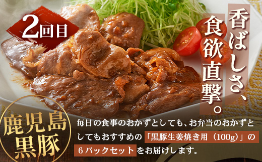 ≪全3回≫ 鹿児島県産 黒豚三昧 定期便 ♪ ＜ 黒豚味噌漬け 生姜焼き 生ハンバーグ ＞ ★☆＼＼ 黒豚ロース味噌漬け バナナマンの早起きせっかくグルメで紹介されました！！／／☆★ 南州農場 かごしま黒豚 NS-29 | 肉 お肉 豚肉 豚 にく ぶた 鹿児島黒豚 ハンバーグ 味噌漬け 生姜焼き おかず ジューシー お弁当 国産 肉定期便 鹿児島県 南大隅町 南州農場
