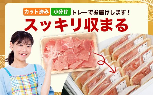 鹿児島県産 豚バラ切り落とし 計5kg HK-32 鹿児島県 南大隅町 国産豚 250g×20パック 豚肉切り落とし 豚バラ肉 小分け 豚キムチ 炒め物 焼肉 こま切れ 切り落とし 細切れ 小間切れ 薄切り スライス お肉 肉 豚肉 冷凍