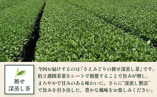 【先行予約】【2026年摘みたて！】新茶 ナナ茶 被せ茶 さえみどり 80g×2パック RS-7｜お茶 茶 茶葉 お茶の葉 ケルセチン 緑茶 日本茶 鹿児島茶 国産 おしゃれ ブレンド茶 シングルオリジン 鹿児島県 南大隅町 株式会社Re-Shine