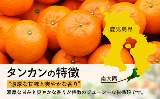 【訳あり】《先行予約》南大隅の太陽浴びた甘くて・おいしい タンカン 約5kg【数量限定】<2026年2月中旬以降順次発送> ID-3｜訳あり 訳アリ たんかん タンカン 柑橘 カンキツ 柑橘類 詰め合わせ 産地直送 先行予約 おすすめ 人気 南大隅町