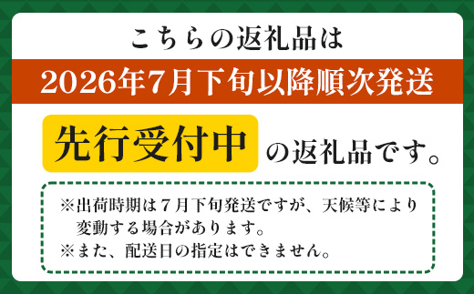 【先行受付】パイナップル/ボゴール種 (約800g×6玉) ≪2026年7月下旬以降順次発送≫  DS-1｜パイン パイナップル パインアップル フルーツ ボゴールパイン スナックパイン 産地直送 旬 送料無料 鹿児島県 南大隅町 株式会社デラセーラ