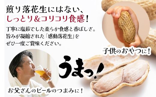 【先行予約 2026年9月下旬～順次発送】鹿児島県産 塩茹でジャンボ落花生（おおまさり） 300g×2パック 冷凍 FR-3 | ラッカセイ ピーナッツ 国産 国産最高級品種 おおまさり 大粒 柔らかい 歯ごたえ おやつ おつまみ ギフト お中元 お歳暮 鹿児島県 南大隅町 株式会社フォレスト