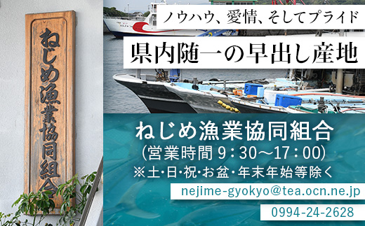 【ねじめ黄金カンパチ】１尾