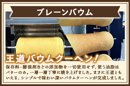 バウムクーヘン 2個セット ( プレーン ・ 辺塚だいだい)｜菓子 おかし スイーツ デザート バウムクーヘン 食品 人気 おすすめ 柑橘 SH-715
