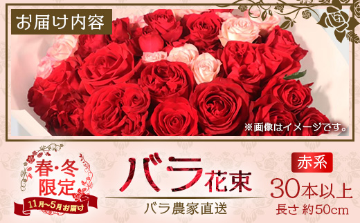 ※先行予約※【日付指定必須・ギフト対応可】ばら農家直送！人気の春・冬薔薇をお届け♪バラ花束30本以上(赤系) TB-13│ローズ 新鮮 花 フラワー 花束 ばら 薔薇 バラ 誕生日 記念日 結婚祝い ギフト プレゼント お祝い 贈り物 贈答 鹿児島県 南大隅町 富田バラ園 