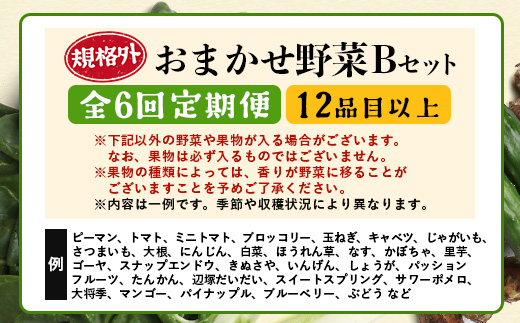 【定期便全6回】【規格外】本土最南端から 旬のおまかせ野菜セットB 12品目以上 NI-8 ｜ 旬 野菜 やさい 果物 くだもの 産地直送 農産物 冷蔵 鹿児島県 南大隅町産 詰合せ おまかせ 家庭用 訳あり なんたん市場