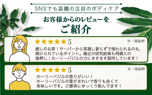 ホーリーバジル茶（30g×1個）｜ホーリーバジル 茶 ハーブティー リラックス ボタニカノン BOTANICANON ケミカルフリー 鹿児島県 南大隅町 ボタニカルファクトリー　BF-8