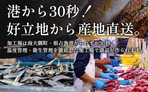 鹿児島県産 アジ 干物 大サイズ×2枚 ≪合計2枚≫［1枚 約22～25センチ］PT-1 | 開き 大隅干し 冷凍 国産 鯵 ひもの 海鮮 新鮮 瞬間冷凍 産地直送 鹿児島県 南大隅町 ピットスリー