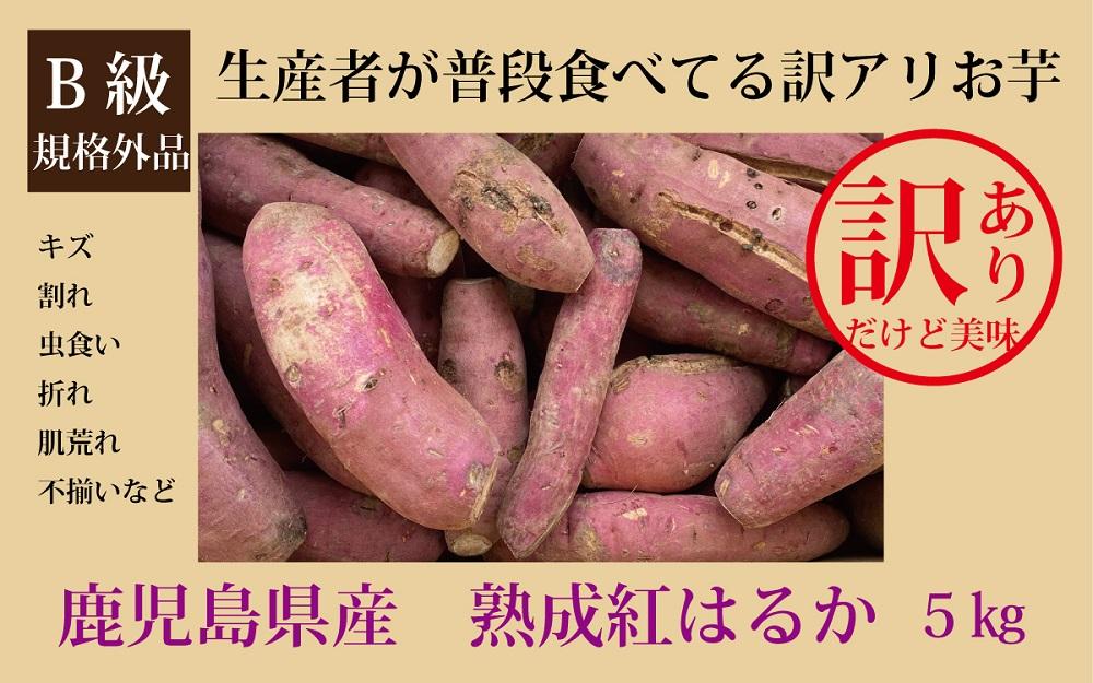 【年内出荷】 訳あり 熟成 紅はるか 5kg (1箱 ) さつまいも 鹿児島県産