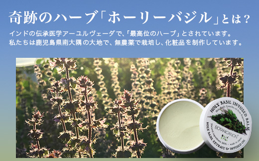 【100％自然由来】インフューズドバーム（25g×1個）│美容 化粧品 ホーリーバジル ハーブ 抗菌 抗ウイルス 乾燥肌 敏感肌 肌荒れ 潤い ハリ 弾力 スキンケア ハンドケア ハンドクリーム リップケア リップクリーム ヘアケア ボタニカノン BOTANICANON ケミカルフリー 鹿児島県 南大隅町 ボタニカルファクトリー BF-518