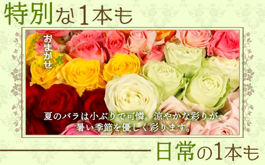 【先行予約・夏季限定 薔薇】ばら農家直送！バラ花束40本以上お届け(色はおまかせ) 【ギフト対応可】│ローズ 新鮮 花 フラワー 花束 ばら 薔薇 バラ 誕生日 記念日 結婚祝い ギフト プレゼント お祝い 贈り物 贈答 鹿児島県 南大隅町 富田バラ園 TB-8
