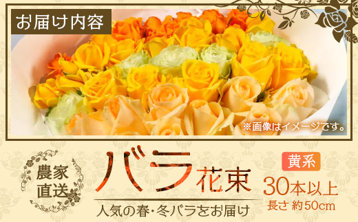【先行予約】【人気の春・冬薔薇をお届け】ばら農家直送！バラ花束30本以上お届け(黄系) 【ギフト対応可】│ローズ 新鮮 花 フラワー 花束 ばら 薔薇 バラ 誕生日 記念日 結婚祝い ギフト プレゼント お祝い 贈り物 贈答 鹿児島県 南大隅町 富田バラ園 TB-15