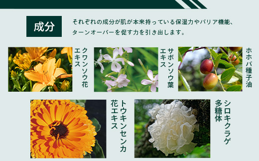 ナイトリペアハーバルローション エレガンスフラワー 1本 BS-1｜美容 化粧品 ローション 植物 エキス スキンケア 天然由来 アロマ スキンケア ナイトリペア 二層式 手づくり ハンドメイド 鹿児島県 南大隅町 ベースシー ボタニカルファクトリー