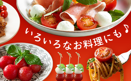 《期間限定》田淵さんちの美味しい ミニトマト シュガープラム（約1,400g）GP-2｜鹿児島県 南大隅 産地直送 旬 とまと トマト ミニトマト リコピン 完熟 甘い 高糖度 野菜 やさい 送料無料