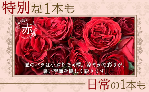 【先行予約・夏季限定 薔薇】ばら農家直送！バラ花束40本以上お届け(赤系) 【ギフト対応可】│ローズ 新鮮 花 フラワー 花束 ばら 薔薇 バラ 誕生日 記念日 結婚祝い ギフト プレゼント お祝い 贈り物 贈答 鹿児島県 南大隅町 富田バラ園 TB-5