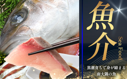 あとからセレクト【ふるさとギフト】100万円分 MN-24│1000000 鹿児島県 南大隅町 あとから選べる 返礼品 特産品 プラン 選べる返礼品 あとから選べる ギフト ギフトポイント 後から選ぶ カタログギフト