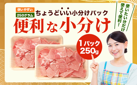 鹿児島県産 豚肩バラ切り落とし 計1kg HK-13 鹿児島県 南大隅町 国産豚 250g×4パック 豚肉切り落とし 豚バラ肉 小分け 豚キムチ 炒め物 焼肉 こま切れ 切り落とし 細切れ 小間切れ 薄切り スライス お肉 肉 豚肉 冷凍