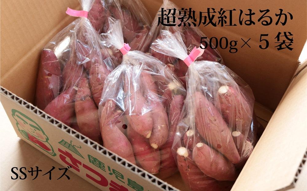 さつまいも 熟成 紅はるか 2.5kg ( 500g × 5袋 ) SSサイズ 鹿児島県産 先行予約 2025年1月より順次発送