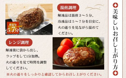 鹿児島県産 黒毛和牛 ≪レトルト≫ 和食料理人の手作り ハンバーグ（100g×6個）GN-5｜鹿児島県 南大隅町 ハンバーグ 牛肉 手作り レトルト 銀シャリ中はら
