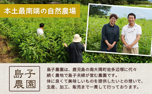 【福袋】白菊芋まるごと満喫３種セット SK-15-fb｜ コーヒー 菊芋 白色菊芋 コーヒー パウダー 菊芋せんべ ノンカフェイン 野菜茶 きくいも お茶 焙煎 ギフト グルメ 鹿児島県 南大隅町 島子農園 福袋