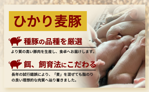 鹿児島県産 ひかり麦豚 しゃぶしゃぶ 焼肉 セット 300g×3パック 計900g ＋ 楽塩の粗びき塩こしょう | 肉 お肉 にく 豚肉 黒豚 かごしま黒豚 ロース 肩ロース バラ肉 スライス 粗挽き 塩コショウ 冷凍 真空冷凍 産地直送 新鮮 小分け 甘み 鹿児島県 南大隅町 ひかり麦豚直売所 HM-704