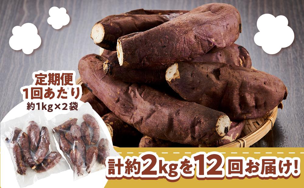 【定期便全12回】本土最南端紅はるか 冷凍 やきいも 定期便 2kg ( 1kg×2袋 )×12回 合計24kg