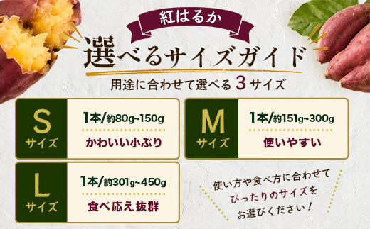 【先行予約：2026年9月中旬配送～】掘りたて さつまいも 紅はるか 3kg Lサイズ (自宅で簡単レシピ付き）FR-215 | 秋の味覚 2026年秋収穫 新物 さつまいも サツマイモ 感動サツマイモ 焼き芋 べにはるか 大きめ 野菜 おやつ おかず お弁当 煮物 芋ごはん 味噌汁 産地直送 鹿児島県 南大隅町 株式会社フォレスト