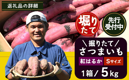 先行予約【2025年9月中旬より順次発送】さつまいも 紅はるか 堀りたて 5kg ( 1箱 ) Sサイズ  新物 鹿児島県産（AX72202）