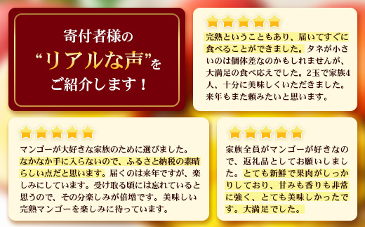 【先行予約】☆本土最南端☆佐多の果樹園で育てた 完熟アップルマンゴー 1kg (2～3玉) 【2026年7月上旬以降順次発送】 ST-407 ｜鹿児島県 南大隅町 産地直送 旬 マンゴー フルーツ 果物 くだもの アップル マンゴー 詰め合わせ 第一佐多果樹園
