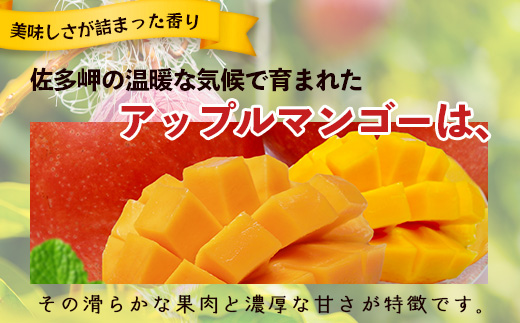 【先行予約】訳あり ☆本土最南端☆佐多の果樹園で育てた 完熟アップルマンゴー1kg (2〜3玉) 家庭用
