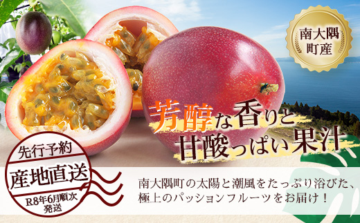 【2026年・先行予約】【訳あり品】家庭用パッションフルーツ1kg （約11～12個）濱田農園  ｜先行予約 産地直送 新鮮 パッション フルーツ 南大隅町 果物 果実 プレゼント濱田農園 家庭用 人気 南国フルーツ  HB-707