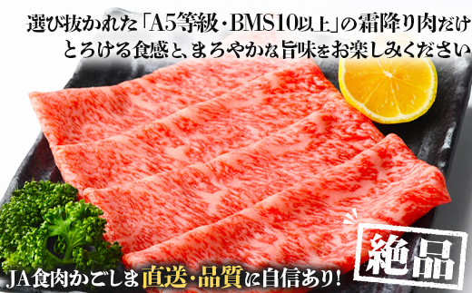 【母の日ギフト】鹿児島黒牛　リブロース スライス セット 300g×2P W7001-mo | 国産 国産牛 鹿児島県 牛肉 黒牛 黒毛和牛 和牛 リブロース スライス すき焼き しゃぶしゃぶ 母の日 冷凍 産地直送 南大隅町 JA鹿児島きもつき