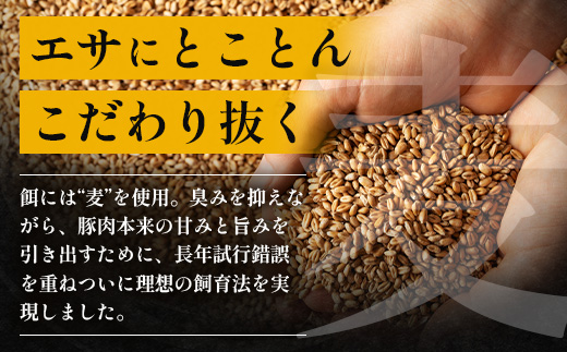 鹿児島県産 ひかり麦豚 モモかつ 計1.6kg （200g×8パック）衣つき トレーなし 冷凍 | 肉 お肉 にく 豚肉 黒豚 かごしま黒豚 モモ肉 トンカツ 冷凍 解凍して揚げるだけ 加工品 真空冷凍 産地直送 新鮮 小分け 産地直送 鹿児島県 南大隅町 ひかり麦豚直売所　HM-8