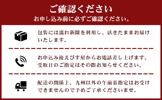【数量限定・先行予約】鹿児島佐多岬 天然 活 伊勢海老 ＼＼約1kg 2～3尾／／ ≪2026年11月下旬より発送予定≫AB-501 ｜国産 えび イセエビ 伊勢エビ 常温 産地直送 天然 年末 天然 鹿児島県 南大隅町 本土最南端 佐多岬
