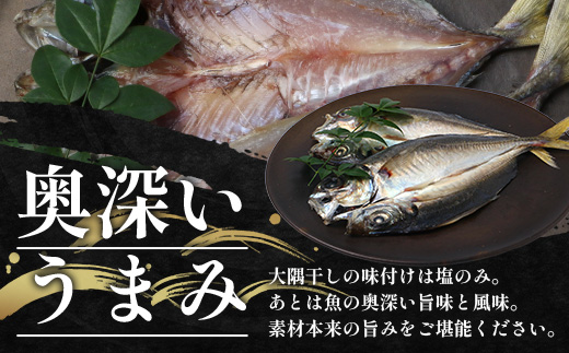 鹿児島県産 アジ 干物 大サイズ×2枚 ≪合計2枚≫［1枚 約22～25センチ］PT-1 | 開き 大隅干し 冷凍 国産 鯵 ひもの 海鮮 新鮮 瞬間冷凍 産地直送 鹿児島県 南大隅町 ピットスリー