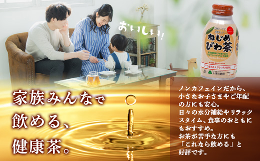 【 定期便 全6回 】 ねじめびわ茶 ボトル缶 12ケース ≪ 1回あたり48本 (24本入り×2箱) ≫ 2か月おきにお届け