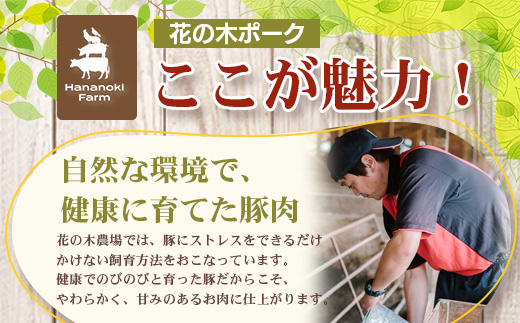 《全3回定期便》<2ヶ月に1回お届け> 花の木農場【ハム詰め合わせセット】7種 計1,000g HK-18│ハム ベーコン クラフトハム 人気 南大隅町 第2花の木ファーム ノウフク ソーセージ 詰め合わせ セット ウインナー 国産 厳選