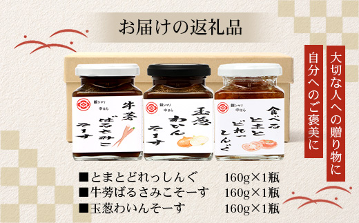 日本料理人が作る　とまとドレッシングとソース　プロの味3種類セット/とまとドレッシング(160g×1瓶) 牛蒡バルサミコソース (160g×1瓶) 玉葱ワインソース (160g×1瓶) GN-17｜鹿児島県 南大隅町 野菜 トマト しょうが ショウガ 手づくりごぼう バルサミコ酢 サラダ ソース 新鮮 旬 銀シャリ中はら