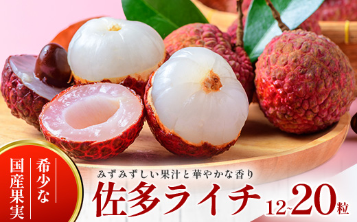 【期間限定・数量限定】 2026年7月より順次発送予定 生でお届け 佐多ライチ 約12粒～20粒 SG-1｜生ライチ 産地直送 新鮮 フレッシュライチ 国産ライチ フルーツ 果物 希少 鹿児島県 本土最南端 しげひさ農園