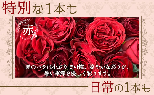 【日付指定必須・ギフト対応可】 夏季限定 ばら農家直送！バラ花束40本以上お届け(赤系) TB-5│ローズ 新鮮 花 フラワー 花束 ばら 薔薇 バラ 誕生日 記念日 結婚祝い ギフト プレゼント お祝い 贈り物 贈答 鹿児島県 南大隅町 富田バラ園