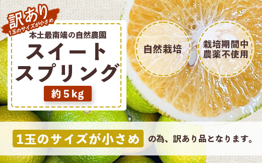 【訳あり】【数量限定】鹿児島県南大隅町産 スイートスプリング （S～M玉） 約5kg 【2025年12月中旬以降順次発送】 SK-19 ❘ 柑橘 フルーツ 国産 果物 みかん 期間限定 数量限定 産地直送 数量限定 もぎたて 新鮮 果汁 たっぷりミカン スイートスプリング 5kg 南大隅町 鹿児島県 島子農園