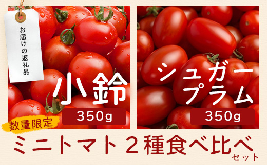 [数量限定]ミニトマト２種食べ比べセット(350g×２種) GP-3｜ミニトマト 野菜 やさい 食品 人気 おすすめ 美味しい 産地直送 小鈴 シュガープラム 食べ比べ セット 鹿児島県 南大隅町 根占グリーンプラネット